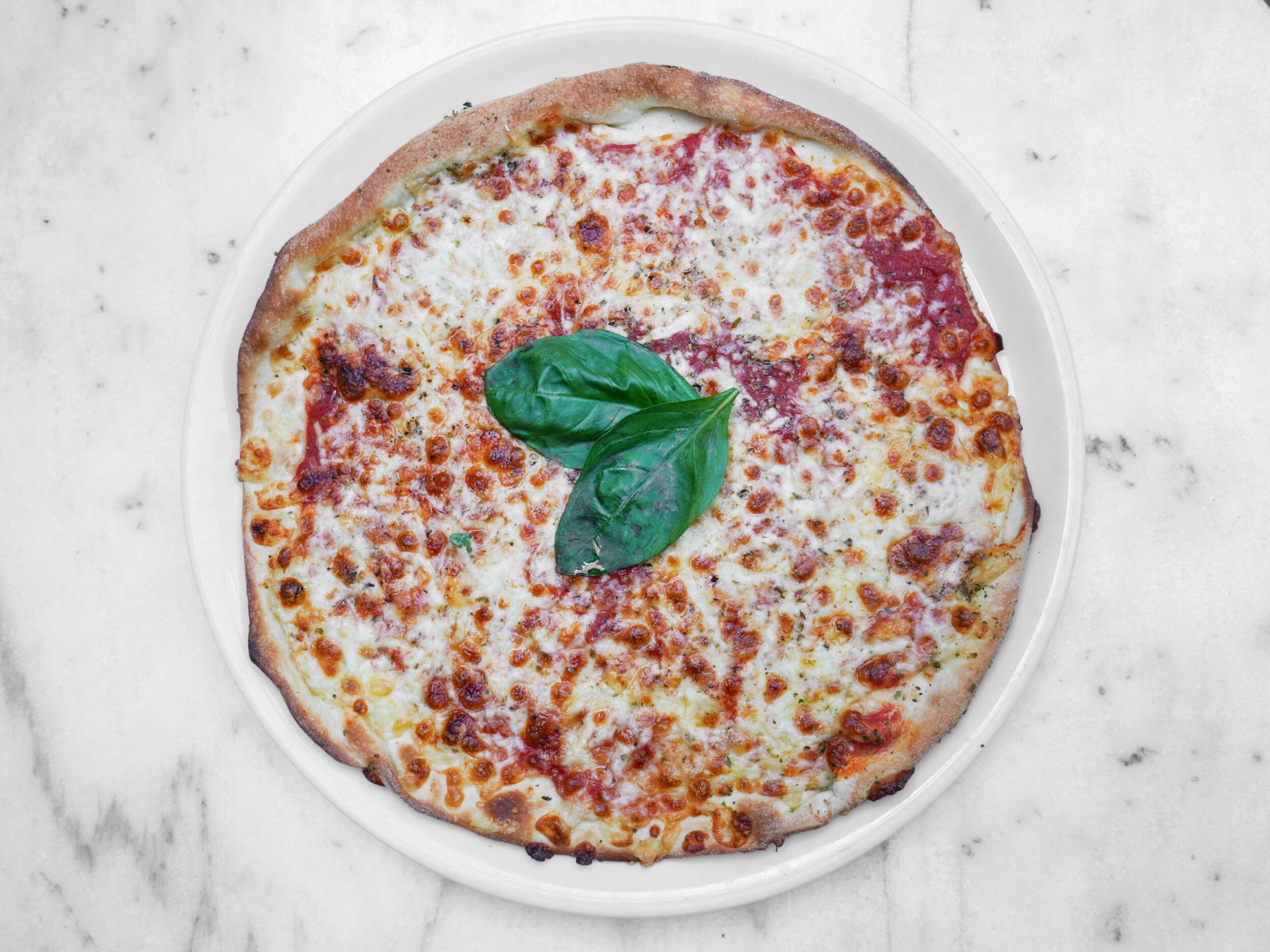 Pizza afhalen in het centrum van Haarlem | Novecento